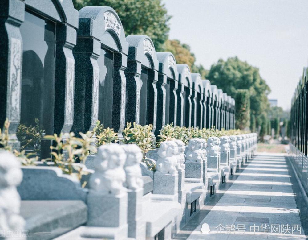 咸阳公交开通两条免费祭扫专线方便市民清明祭扫