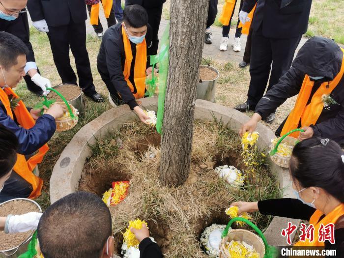 河北衡水倡导生态安葬入土为安情感融入现代文明