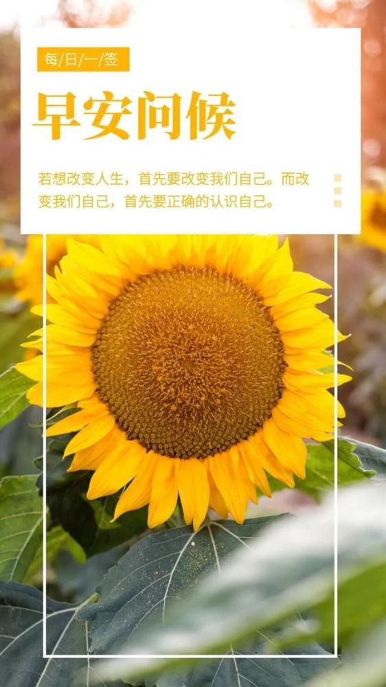 清晨積極向上的陽光勵志語錄情商超高的正能量智慧句子