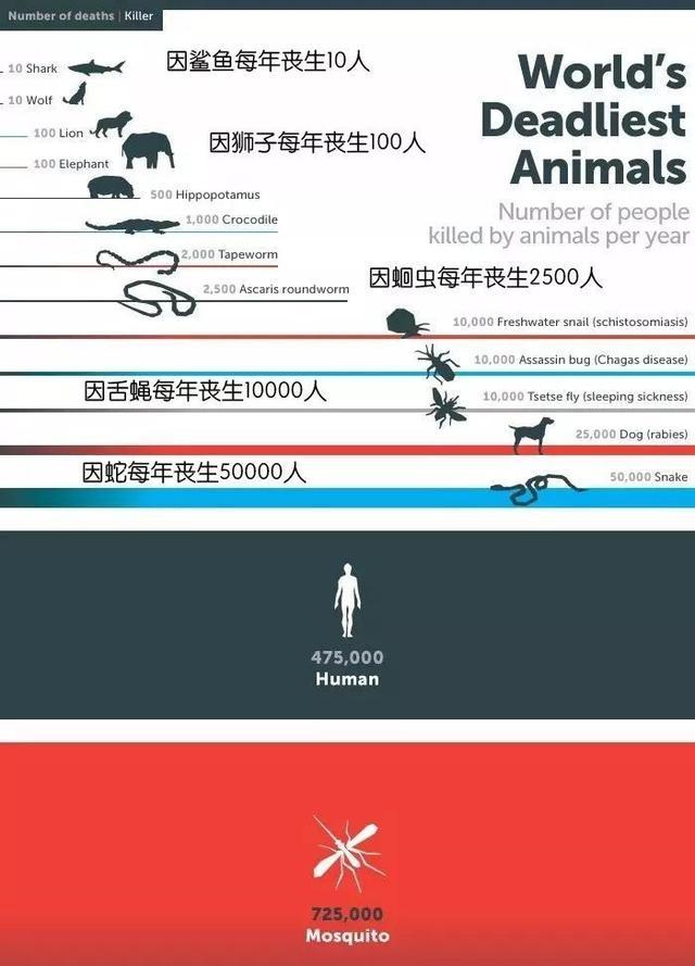 除了人类,还有哪些鲜有天敌的动物?