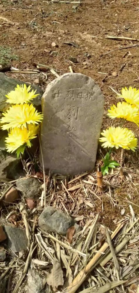 信都区红五村的无名烈士墓