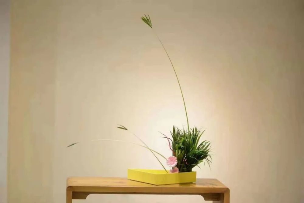 花之歌 日式草月流花道培训 腾讯新闻