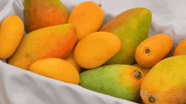 四月好吃报告这一口芒妙啊