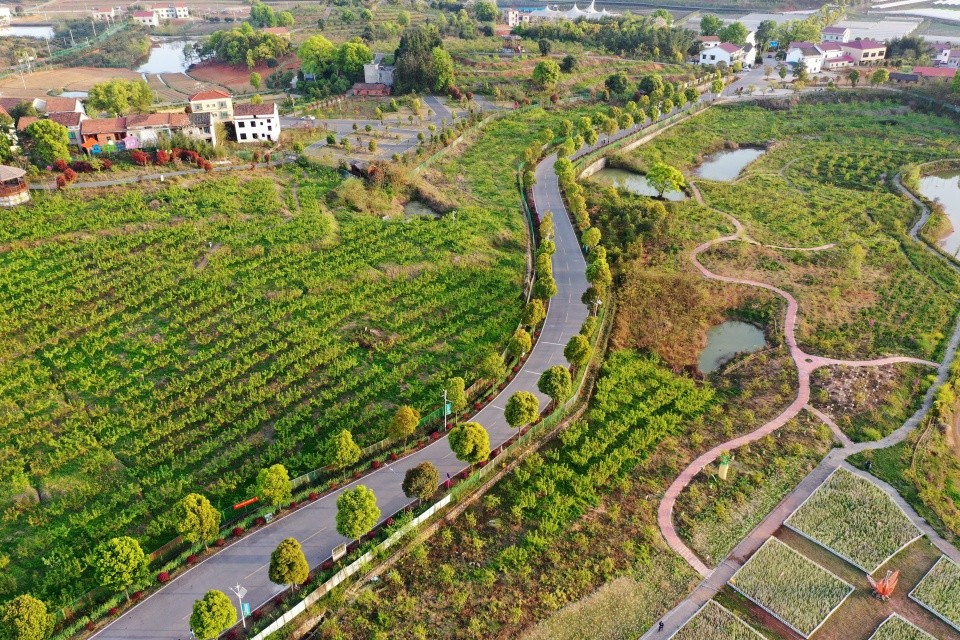 航拍衡阳美丽乡村珠晖区堰头村春光如画近郊休闲旅游好地方