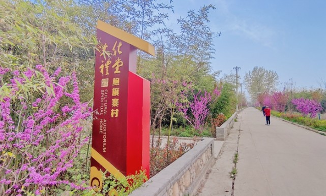 清明小长假西安周边游推荐去蓝田鲍旗寨踏青赏花逛大集