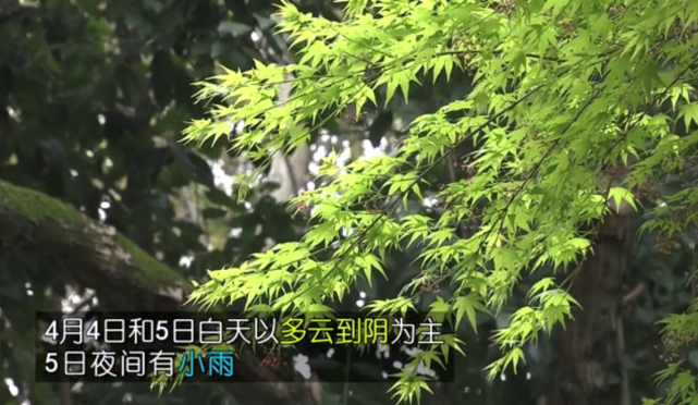 假期天气多变,小雨过程频繁|多云|上海市气象局|阵雨|上海|气象