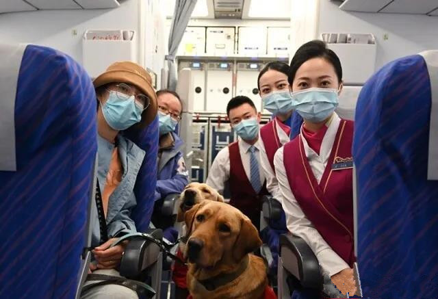 辛迪和卡门不吵不闹,不少前排旅客甚至都没有发现这两位"特殊"旅客的