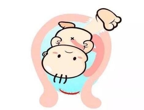 脐带宝宝的生命之源也是宝宝唯一的玩具玩不好很危险