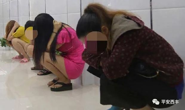 西丰县公安局开展扫黄打非集中整治行动