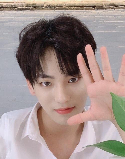 爱豆|姚柏南|肖宇梁|肖梁宇