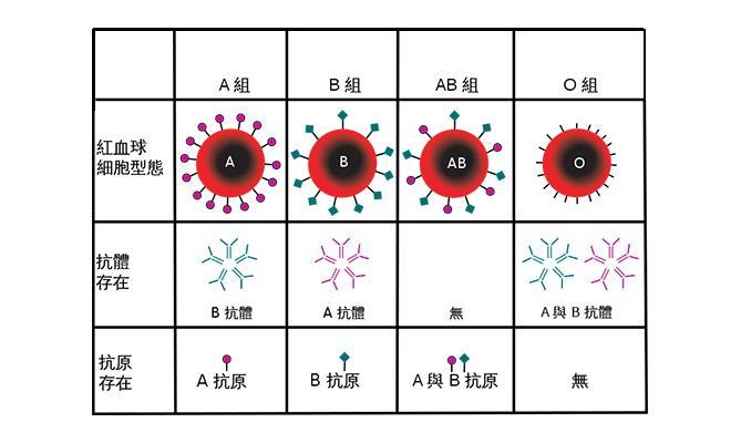 她的血型 全国也就几十例 腾讯新闻