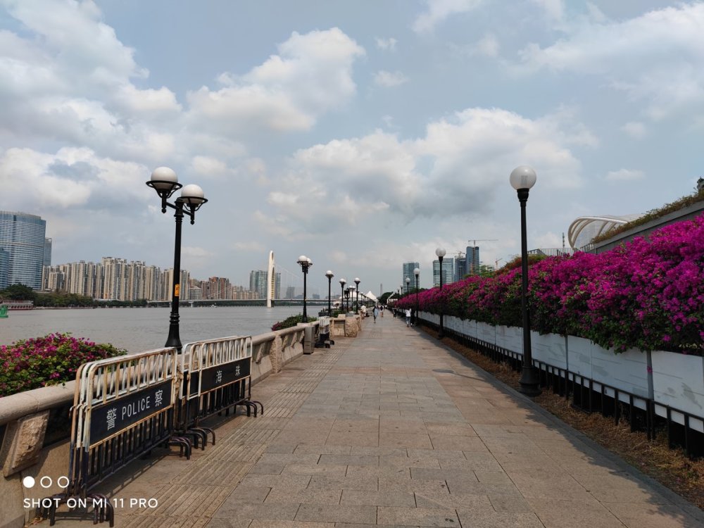 小米 11 pro 更是凭借 gn2 大底的加持,可以在使用主摄进行拍照的情况