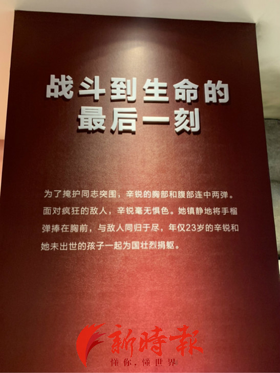 辛锐的许多事迹资料,只是零星记录在一些档案馆内,许多有关于她的故事