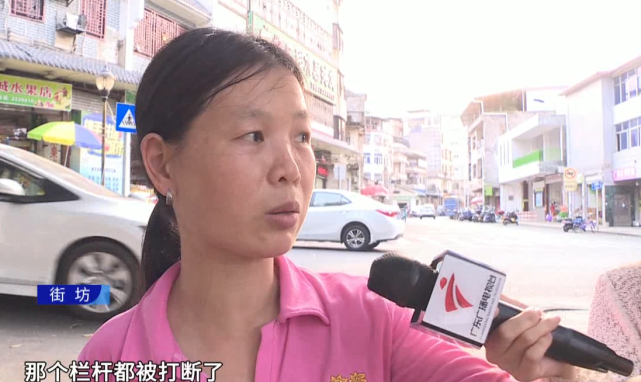 河源八百年古树突然倒塌老人意外被砸
