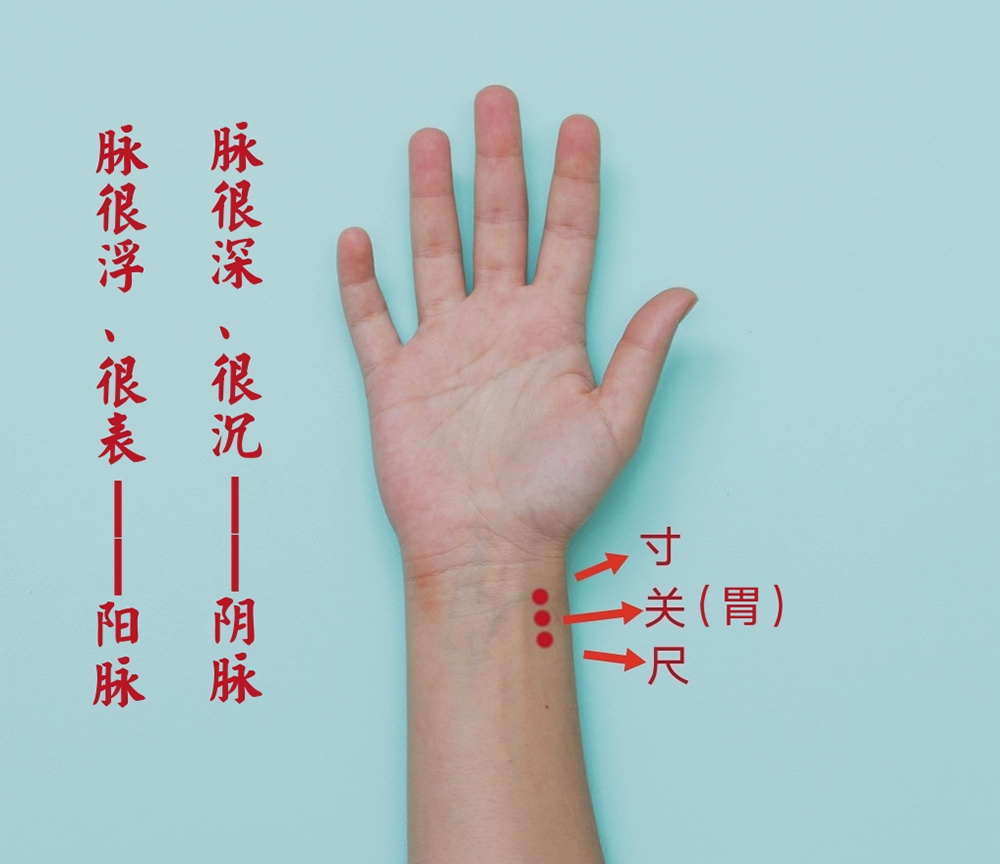 030倪海厦人纪系列黄帝内经篇