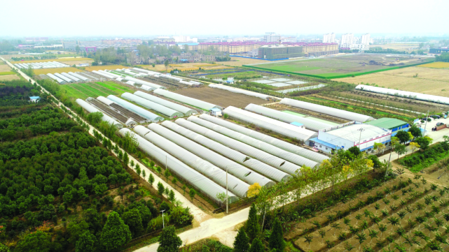 决战决胜脱贫攻坚战纪实毛集实验区篇|脱贫攻坚|毛集镇|精准扶贫|淮南