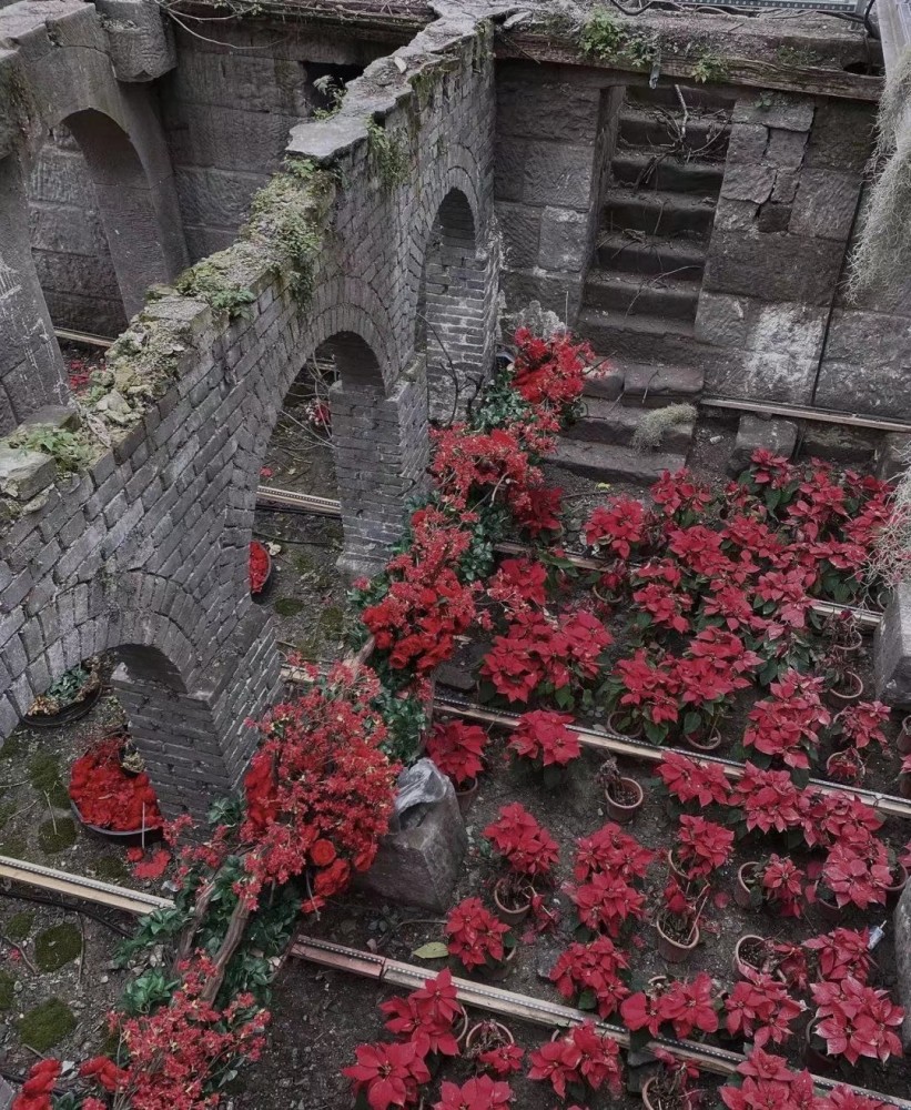 背景｜荒野与重生_腾讯新闻