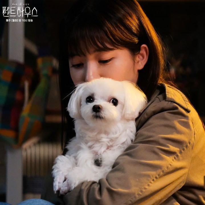 雪雅而且很多人有点混淆,自己是喜欢演员还是角色,譬如,锡京和千千,这