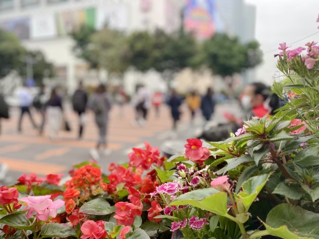 附近卖鲜花的地方在哪里(附近卖鲜花的地方在哪里啊)