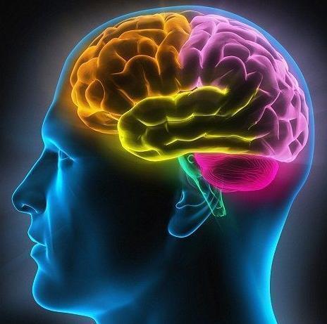 脑袋比一般 人大的真相可能要让大家失望的 是,宝宝头颅 的大小,正常