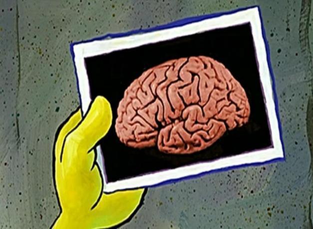 大脑门表情包图片