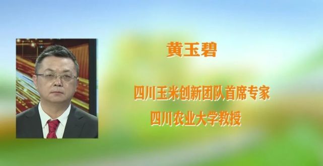 乡村会客厅种源卡脖子如何打一场种业翻身仗