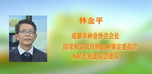 乡村会客厅种源卡脖子如何打一场种业翻身仗