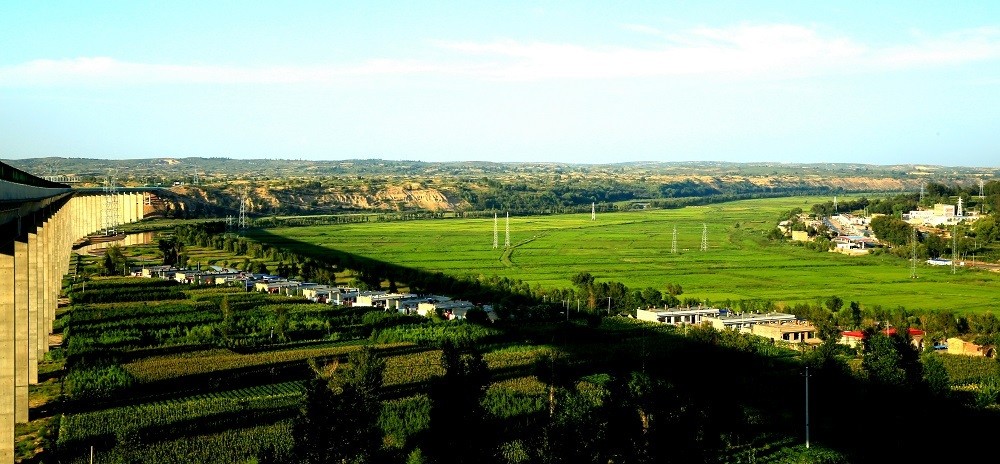 数载汗水林成海 人勤山青满眼绿——横山区生态建设之路