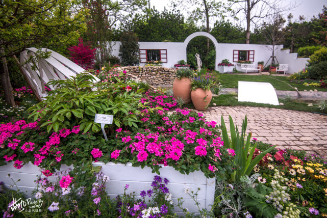 上海国际花展,这些小花园美得让人眼馋,最让你心动的是哪一款