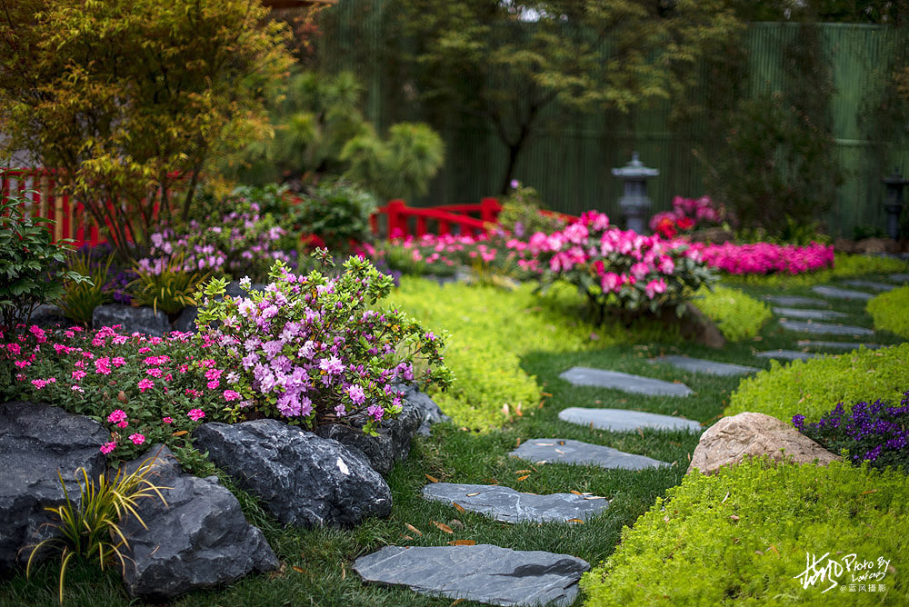 上海国际花展 这些小花园美得让人眼馋 最让你心动的是哪一款 腾讯新闻