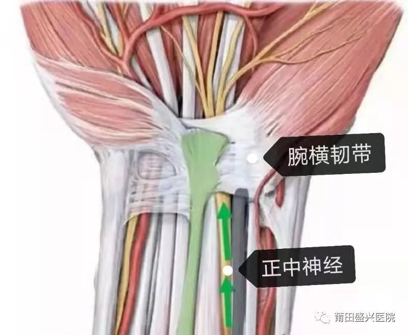 健康我們容易被忽略的手麻原因找到了盛興醫院這個醫生告訴你保健方法