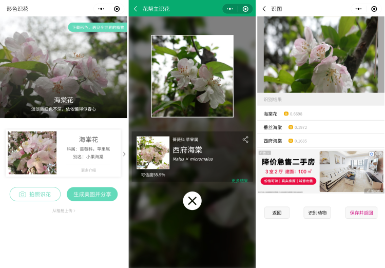 实测有用!3款"识花小程序,让你再也不愁认错花