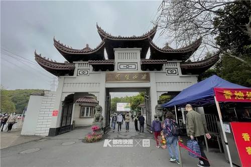 杭州今晨南山陵园扫墓队伍里两个头发花白的大伯激动相认