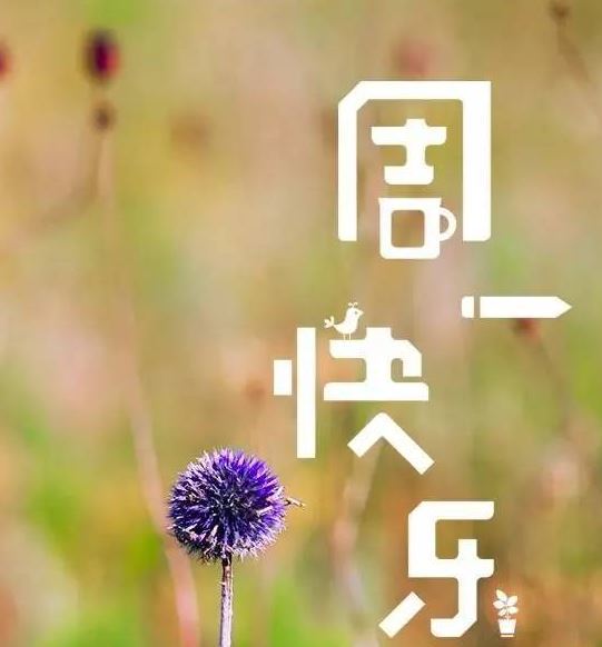 周一早安问候语配图周一早安祝福说说