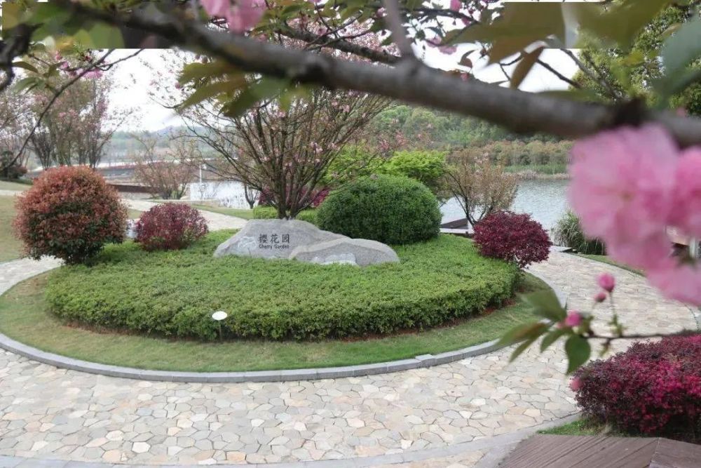 这个小长假与仙鹤湖来场春天的约会