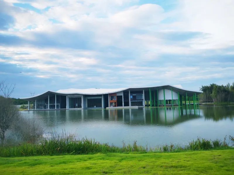 武汉仙鹤湖湿地公园图片