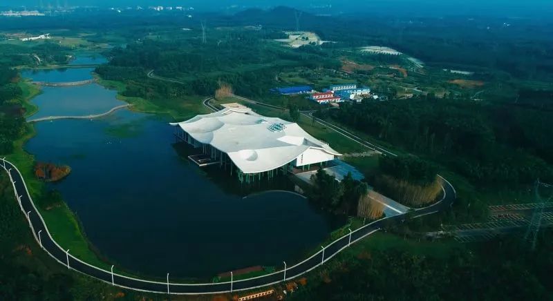 这个小长假与仙鹤湖来场春天的约会