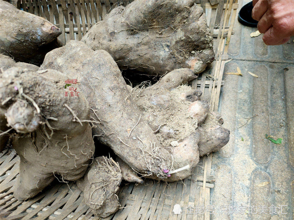 湖南原生态集市有啥全是土里土气的好宝贝最后一种是王炸