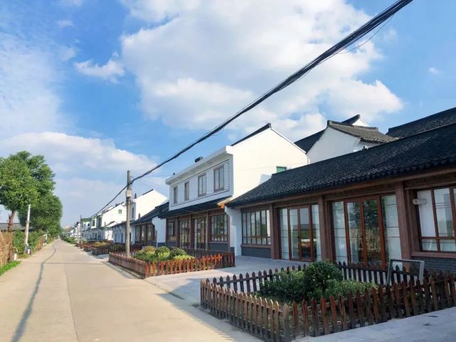 能频获市级荣誉|吕巷镇|太平村|金山
