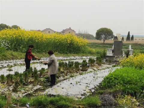 小区最东南面的一角,隔着一条宽15米左右的河道,是一大片万狮村的农田