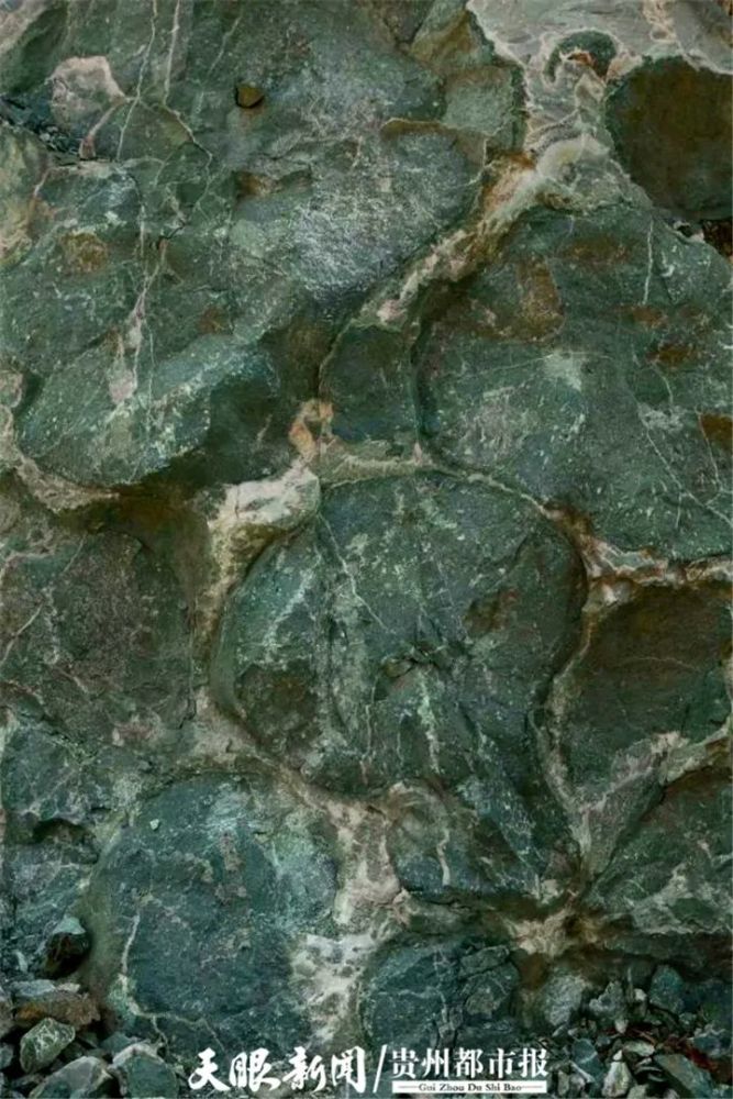 辉绿岩原石图片