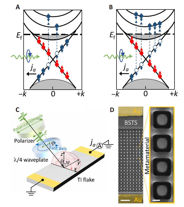 sciadv具有巨大圆形光电动势的拓扑绝缘体超材料
