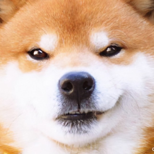 jackeylove被孤立了滔搏发布周边抱枕阿水的元素被取消