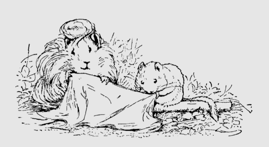 《精灵大篷车》里的沙里发也是一只和善可爱的老睡鼠,她给秃瓢士梳