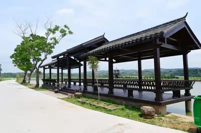 瑞金这个村火了|塘村|瑞金市|国兴村|武阳镇|刘国兴