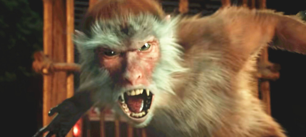 灯火通明,二人转的戏台上吹拉弹唱十分热闹,爱凑热闹的大马猴果然来了