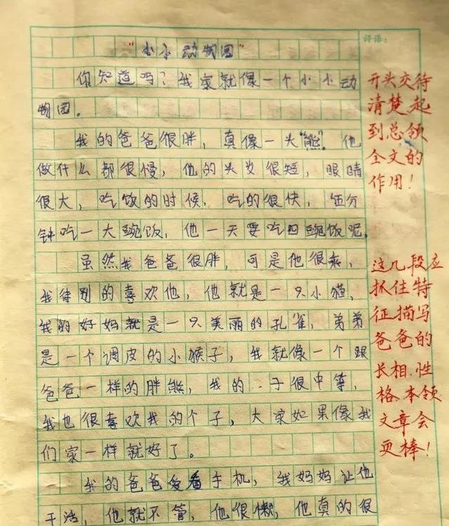 小学语文老师的高颜值字迹书法老师看了都想点赞