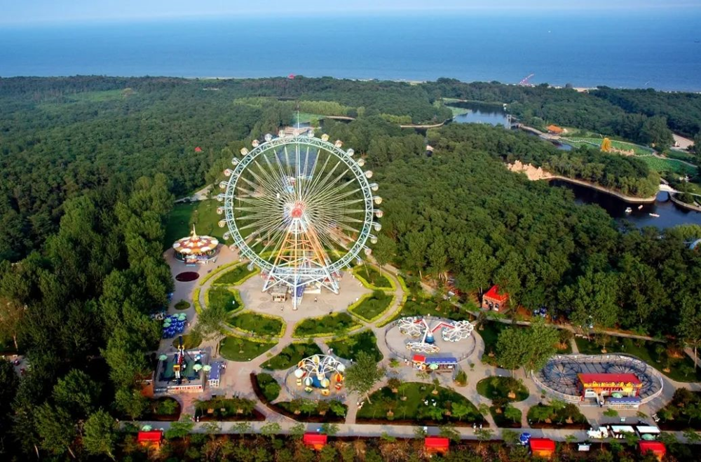 定了抚宁人的南娱五一亮相