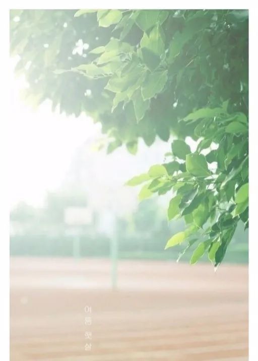 你是我的人间理想 也是我的匆匆过客 腾讯新闻