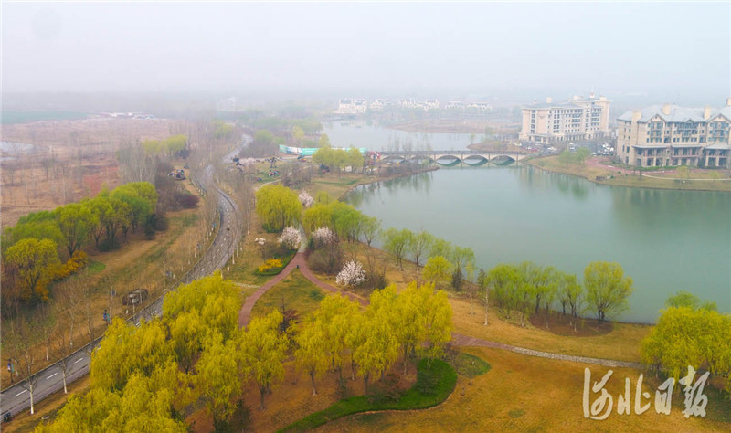河北文安:打造绿色生态宜居之城